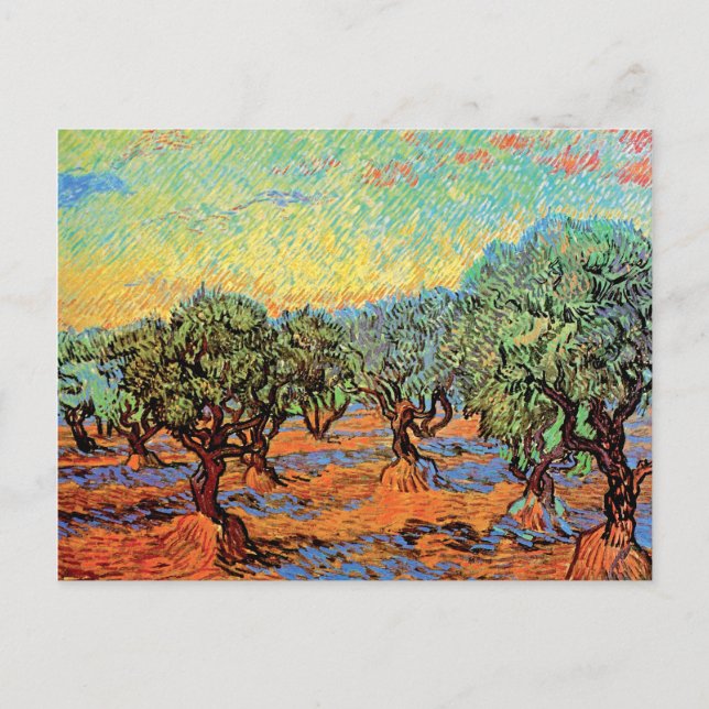 Carte Postale Vincent Van Gogh - Oliveraie sous un ciel orange (Devant)