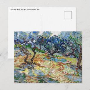 Carte Postale Vincent van Gogh - Oliviers : Ciel bleu vif