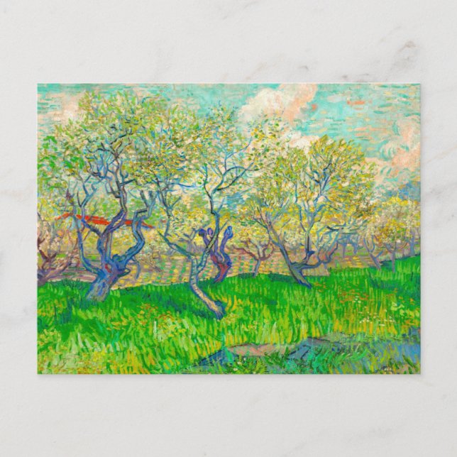 Carte Postale Vincent van Gogh Orchard à Blossom (Devant)