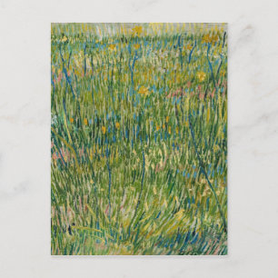 Carte Postale Vincent van Gogh - Patch d'herbe