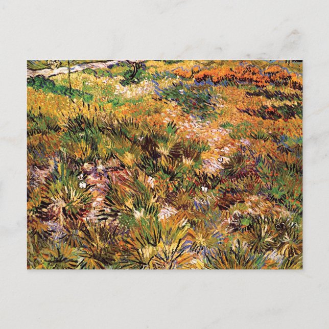Carte Postale Vincent Van Gogh - Prairie Dans Le Jardin Art Fine (Devant)