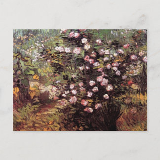 Carte Postale Vincent Van Gogh - Rosebush In Blossom Fine Art