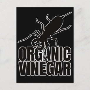 Carte Postale Vinegaroons Vinegaroon Whip Scorpion - Entomologie