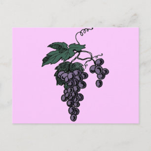 Carte postale Vins de raisin