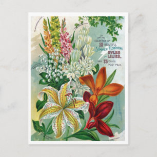 Carte postale vintage