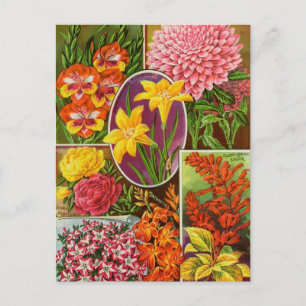 Carte postale vintage