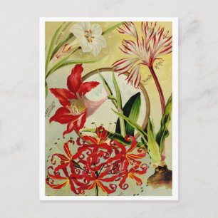 Carte postale vintage