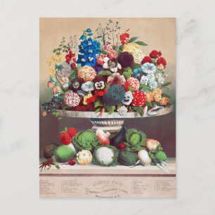 Carte postale vintage