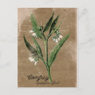 Carte postale vintage