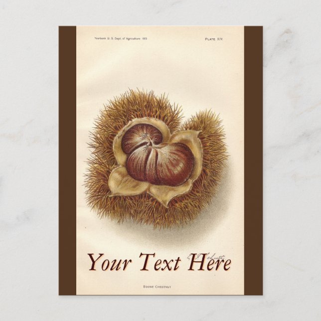 Carte postale vintage (Devant)