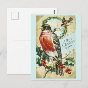 Carte Postale Vintage 1908 Noël Robin sur branche de houx