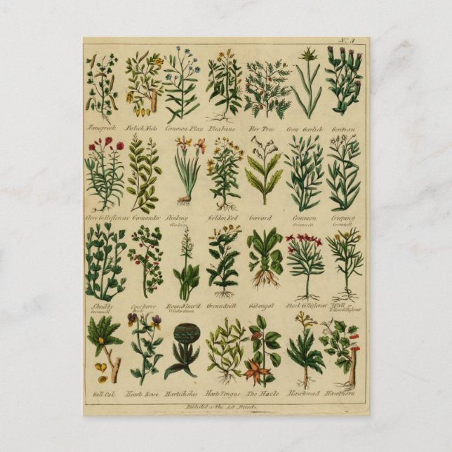 Carte postale vintage - 3 (Devant)