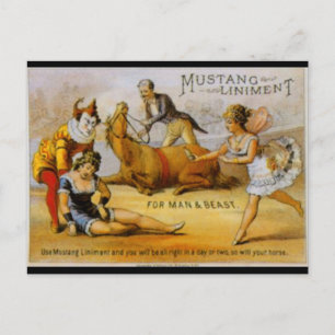 Carte Postale Vintage accord de Mustang