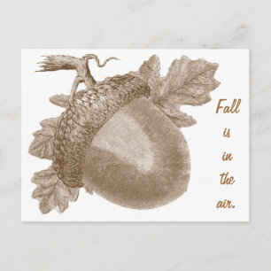 Carte postale vintage Acorn