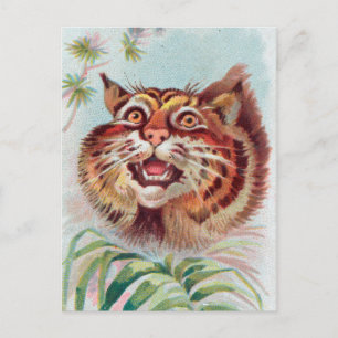 Carte postale vintage américaine Wild Cat