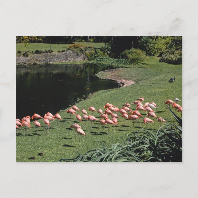 Carte postale vintage American Scenery (Devant)