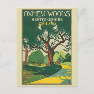 Carte Postale Vintage Angleterre Hertfordshire Oxhey Woods Trave