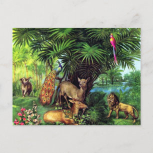 Carte Postale Vintage Animals