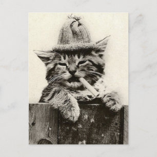 Carte Postale Vintage Antique Funny Nostalgie mignonne chat/chat