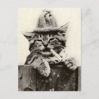 Carte Postale Vintage Antique Funny Nostalgie mignonne chat/chat