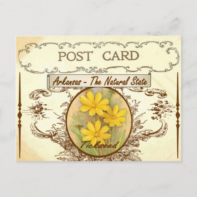 Carte postale vintage Arkansas State Flower (Devant)