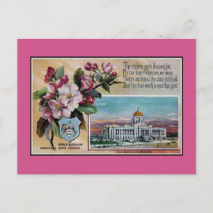Carte Postale Vintage Arkansas State flower, poème