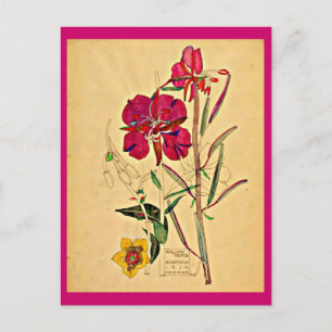 Carte postale-Vintage Art-Charles Rennie Mackintos