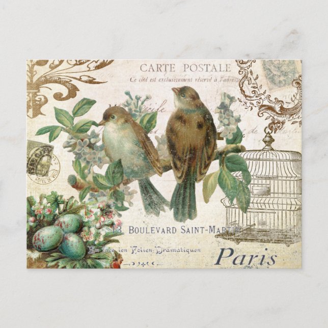 Carte postale vintage aux oiseaux français (Devant)
