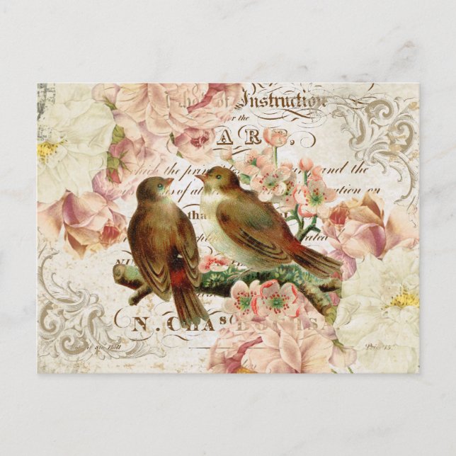 Carte postale vintage aux oiseaux français (Devant)