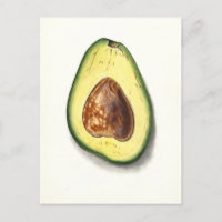 Carte postale vintage Avocado Botanical Illustrati