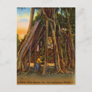 Carte Postale Vintage Banyan Tree, Fort Lauderdale, Floride