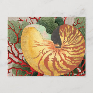 Carte postale vintage Beach Seashell & Red Coral