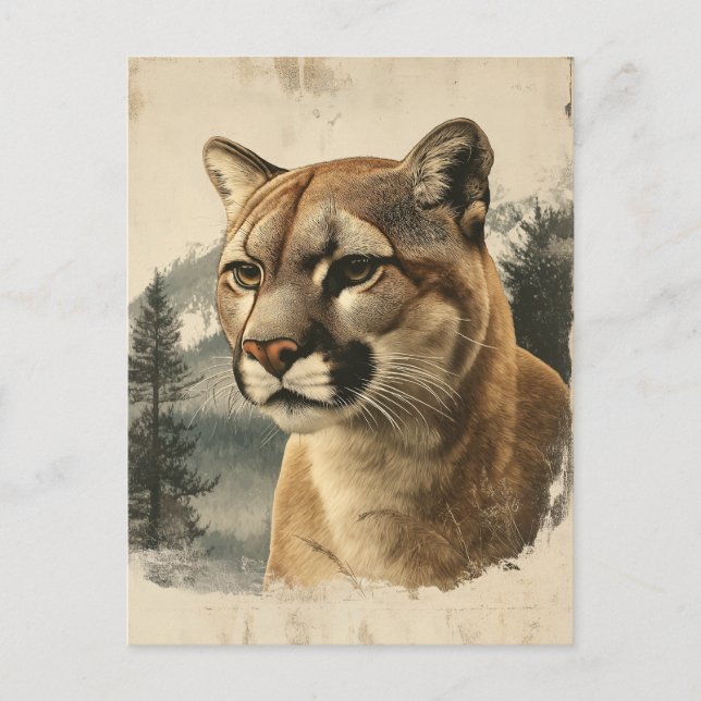 Carte Postale Vintage Berglöwe (Devant)