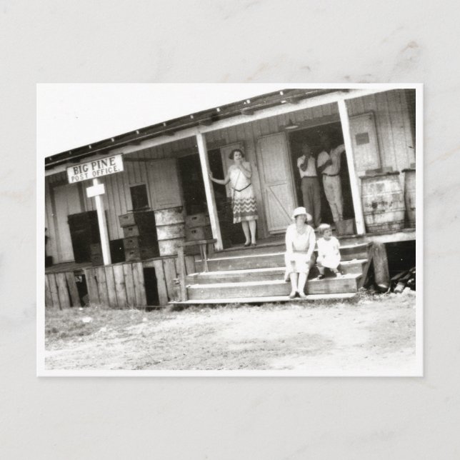 Carte postale Vintage Big Pine Key (Devant)
