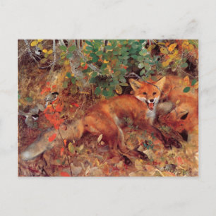 Carte Postale Vintage Bird Jaune Bruno Liljefors Foxes