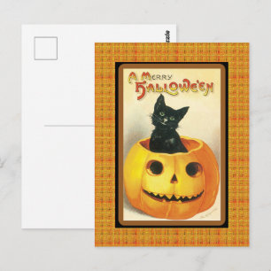 Carte postale vintage Black Cat Citrouille Hallowe