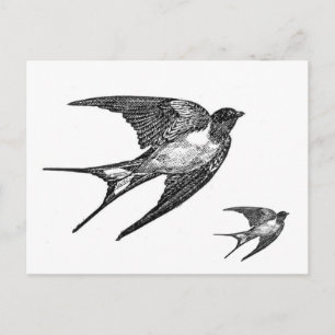 Carte Postale Vintage Black Swallow Design