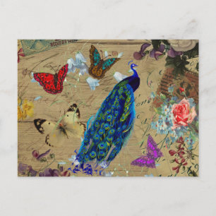 Carte Postale Vintage Blue Colorful Peacock Cute Butterfly