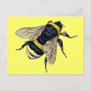 Carte Postale Vintage Bumble Bee