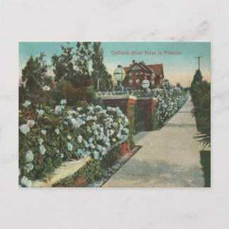 Carte Postale Vintage Californie