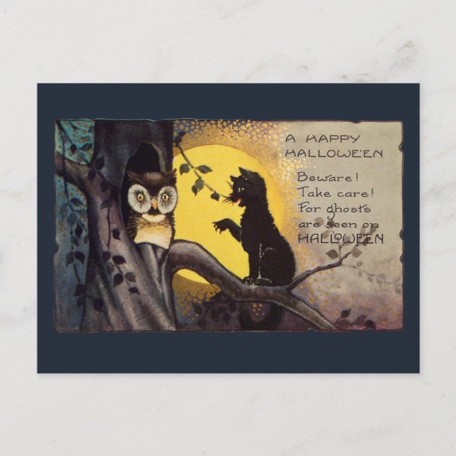 Carte Postale Vintage Cat Warning Owl Spooky Halloween Postcard (Devant)
