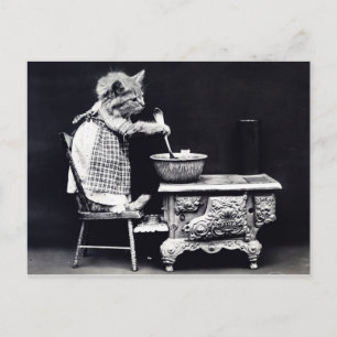 Carte postale vintage Chat en Cuisine vestimentair