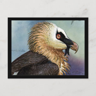 Carte postale Vintage Chicago Art-Abyssinian Birds