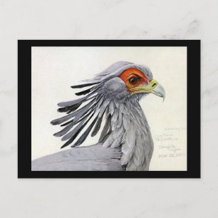 Carte postale Vintage Chicago Art-Abyssinian Birds