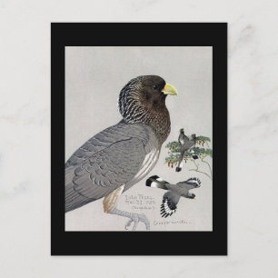 Carte postale Vintage Chicago Art-Abyssinian Birds