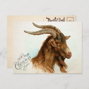 Carte postale Vintage Christmas Chèvre