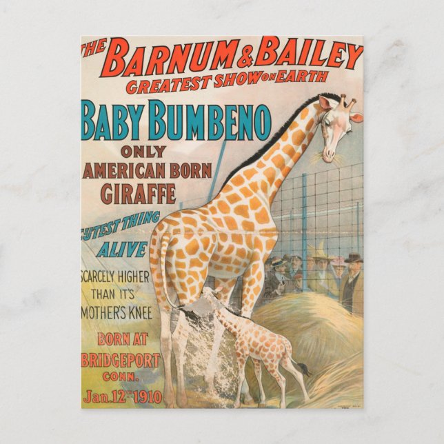 Carte Postale Vintage : cirque Barnum & Bailey - (Devant)