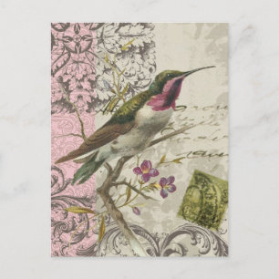 Carte Postale Vintage Colibri...carte postale