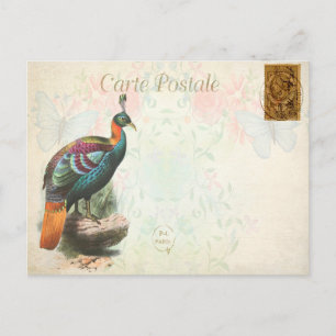Carte Postale Vintage Coloré Exotique Oiseau Floral Français
