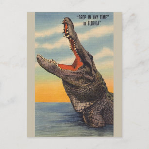 Carte postale vintage d'alligator de la Floride
